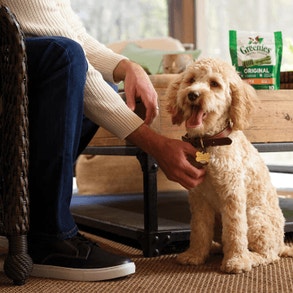 caring-for-your-pets-card-img-1