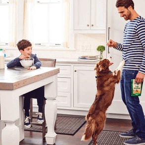 caring-for-your-pets-card-img-2