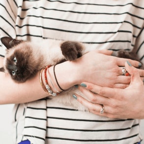 cat health care at home