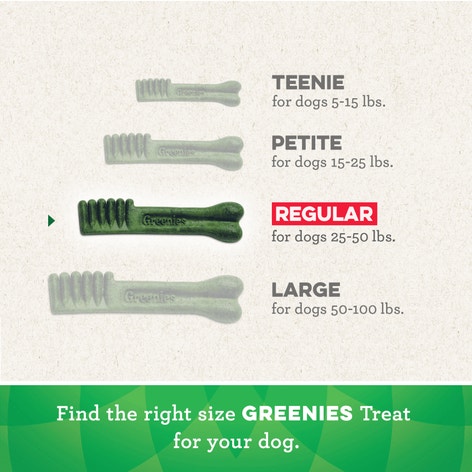 GREENIES™ Regular Adult Dental Treats Original image 1
