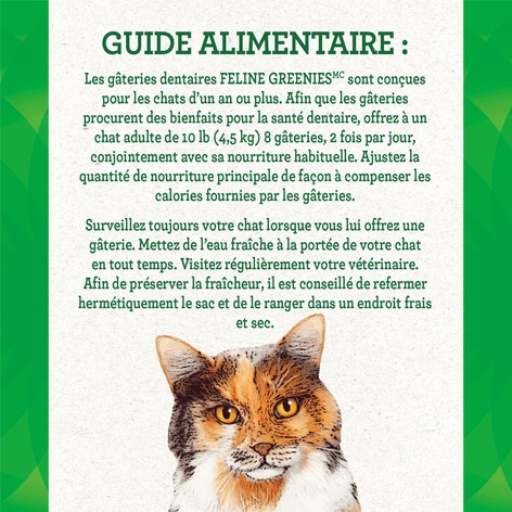 Gâteries dentaires pour chats adultes FELINE GREENIES(MC) saveur d'herbe à chat image 1