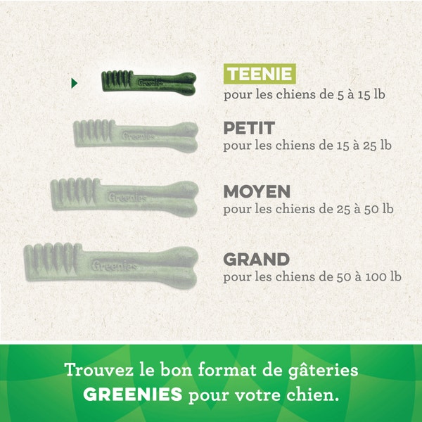 Gâteries dentaires pour chiens adultes GREENIES(MC) Frais format Teenie image 3