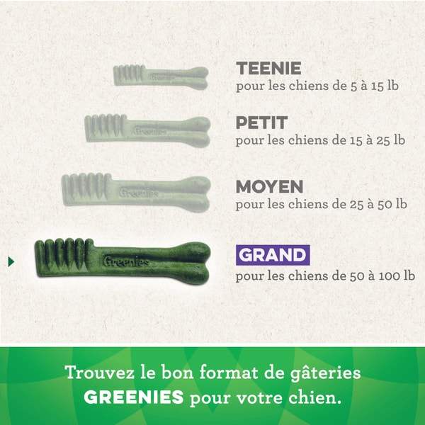 Gâteries dentaires pour chiens adultes GREENIES(MC) Original grand format image 3