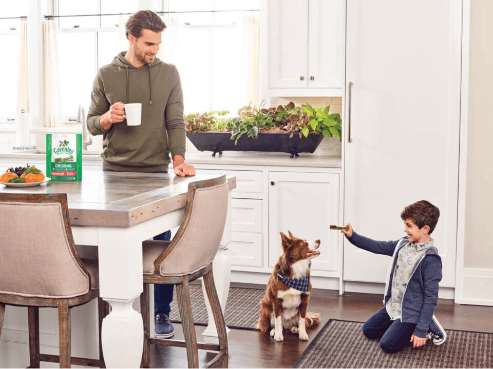 how-greenies-brand-got-its-start
