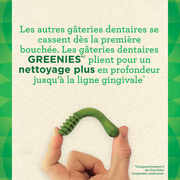 greenies bendy bone fr