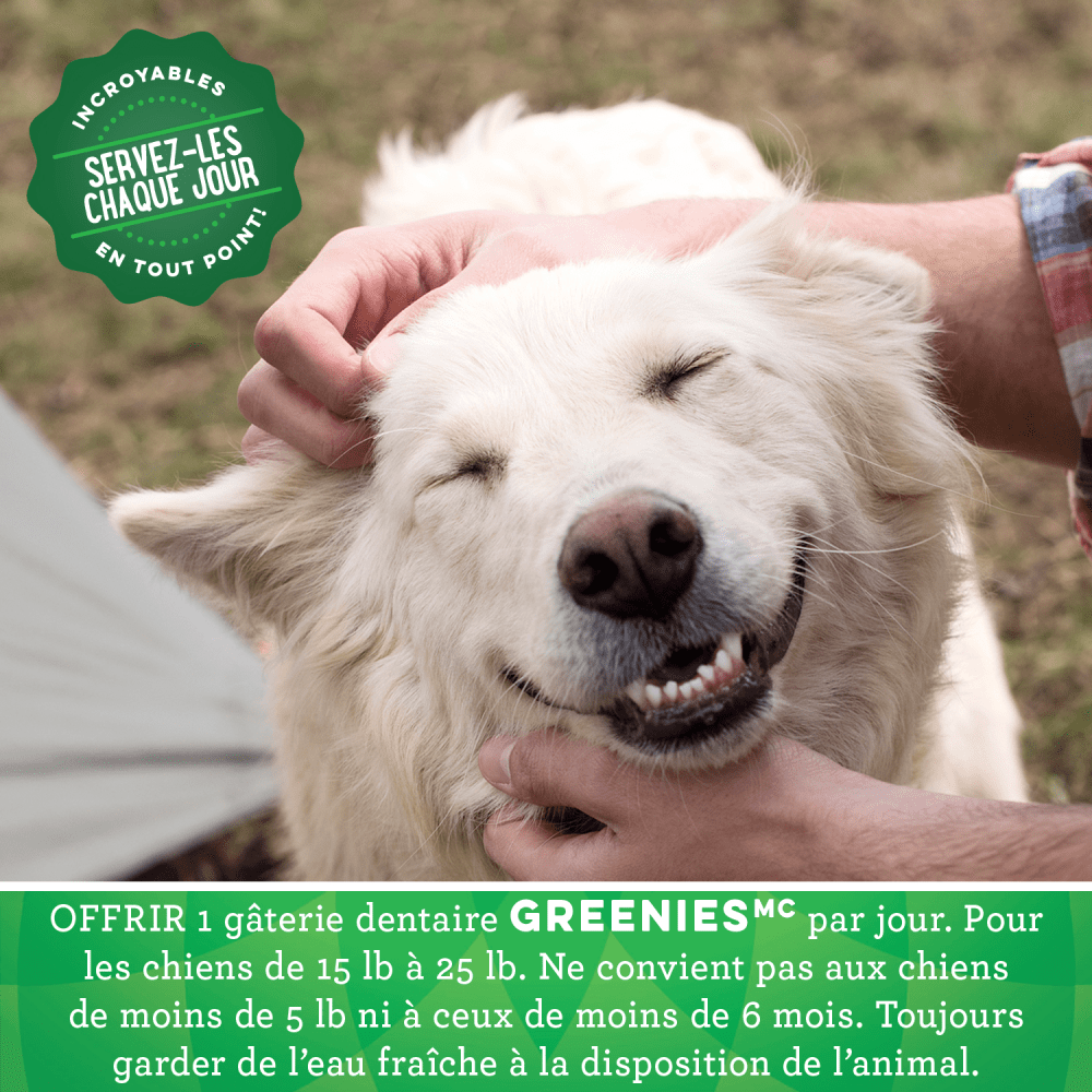 Gâteries dentaires pour chiens adultes GREENIES(MC) Original petit format feeding guidelines image
