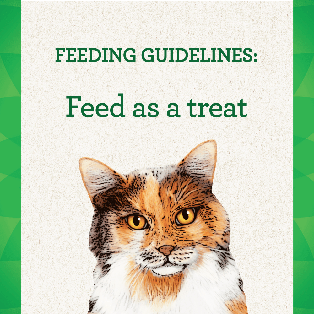 GREENIES™ FELINE PILL POCKETS™ Adult Salmon Flavour feeding guidelines image