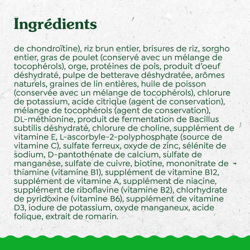 GREENIES ÉLÉMENTS ESSENTIELS digestion et peau sensibles – recette avec agneau véritable et riz brun ingredients image