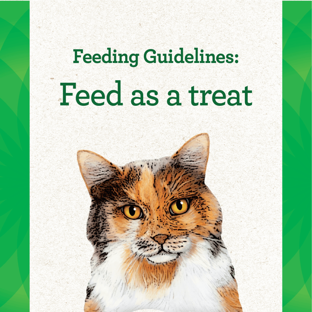 GREENIES™ FELINE PILL POCKETS™ Adult Chicken Flavour feeding guidelines image