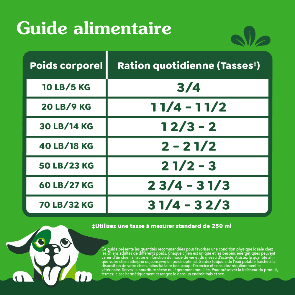 GREENIES ÉLÉMENTS ESSENTIELS digestion et peau sensibles – recette avec agneau véritable et riz brun feeding guidelines image