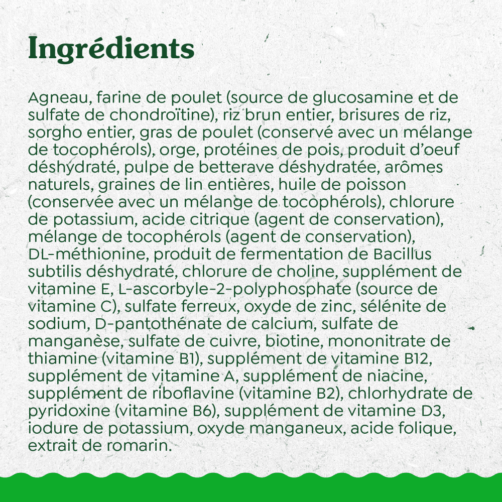 GREENIES ÉLÉMENTS ESSENTIELS digestion et peau sensibles – recette avec agneau véritable et riz brun ingredients image
